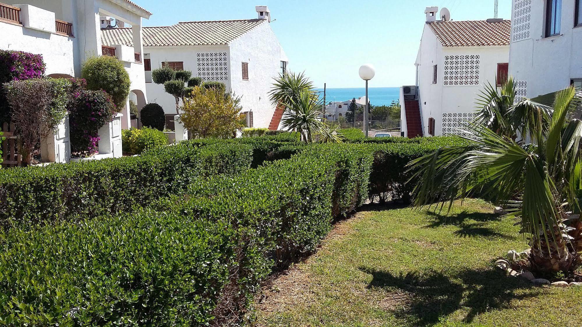 Palma Blanca 3000